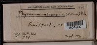 Image Associated With the Occurence
